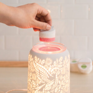 Cleaning Scentsy Warmer