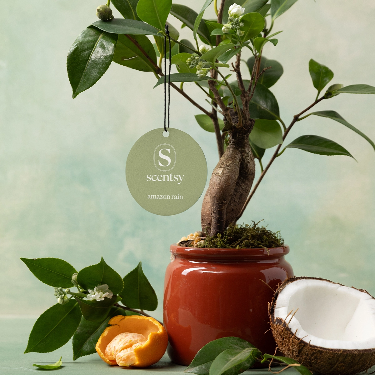 Scentsy Scent Circle Stylized