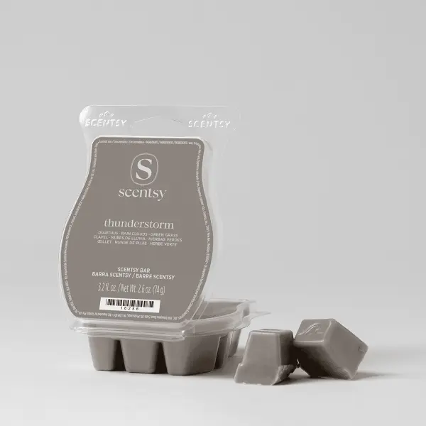 Thunderstorm Scentsy Wax Bar home fragrance product