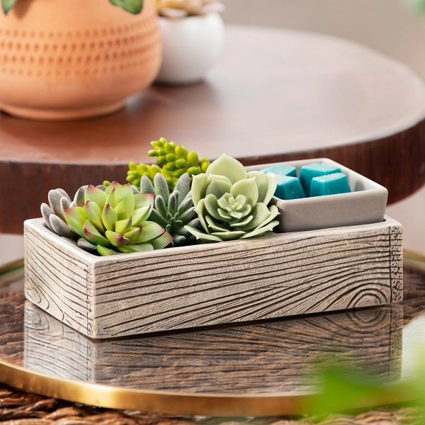 Scentsy Suc-cute-lent Wax Warmer designed as a rectangular weathered wood planter filled with decorative stones, faux succulents, and melting wax.